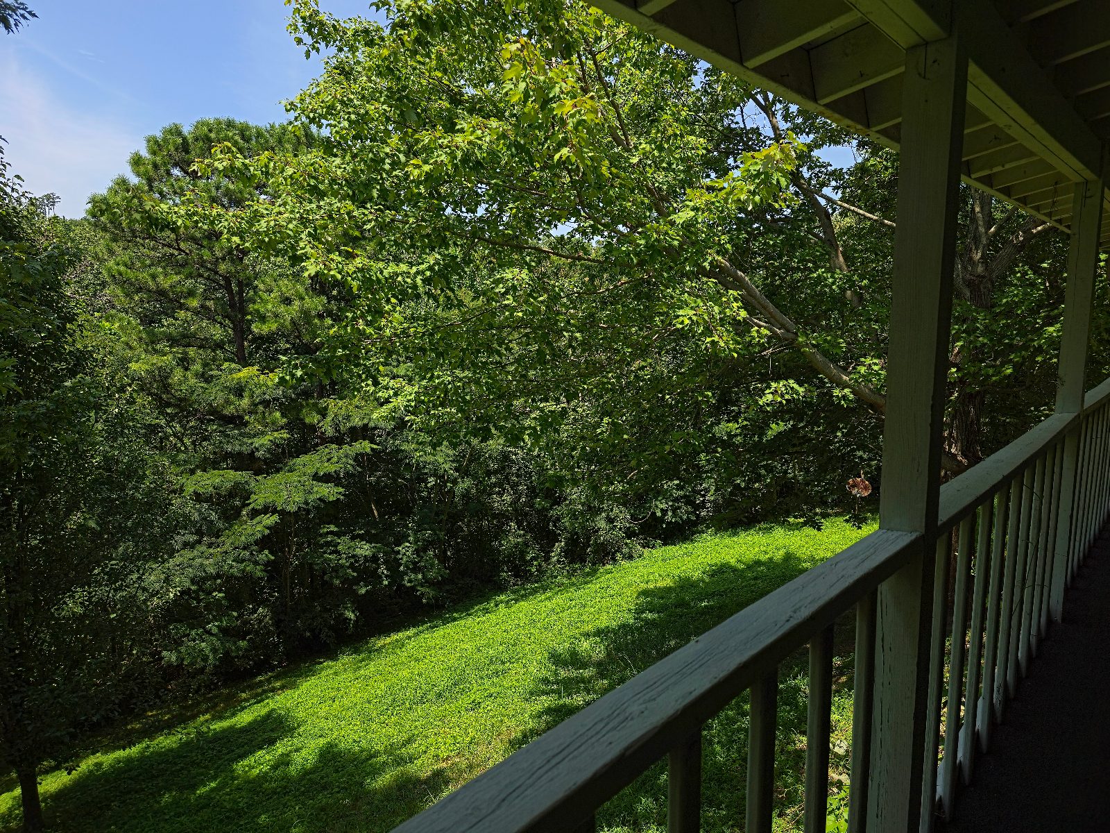 Wooded mountain view from the back porch rail